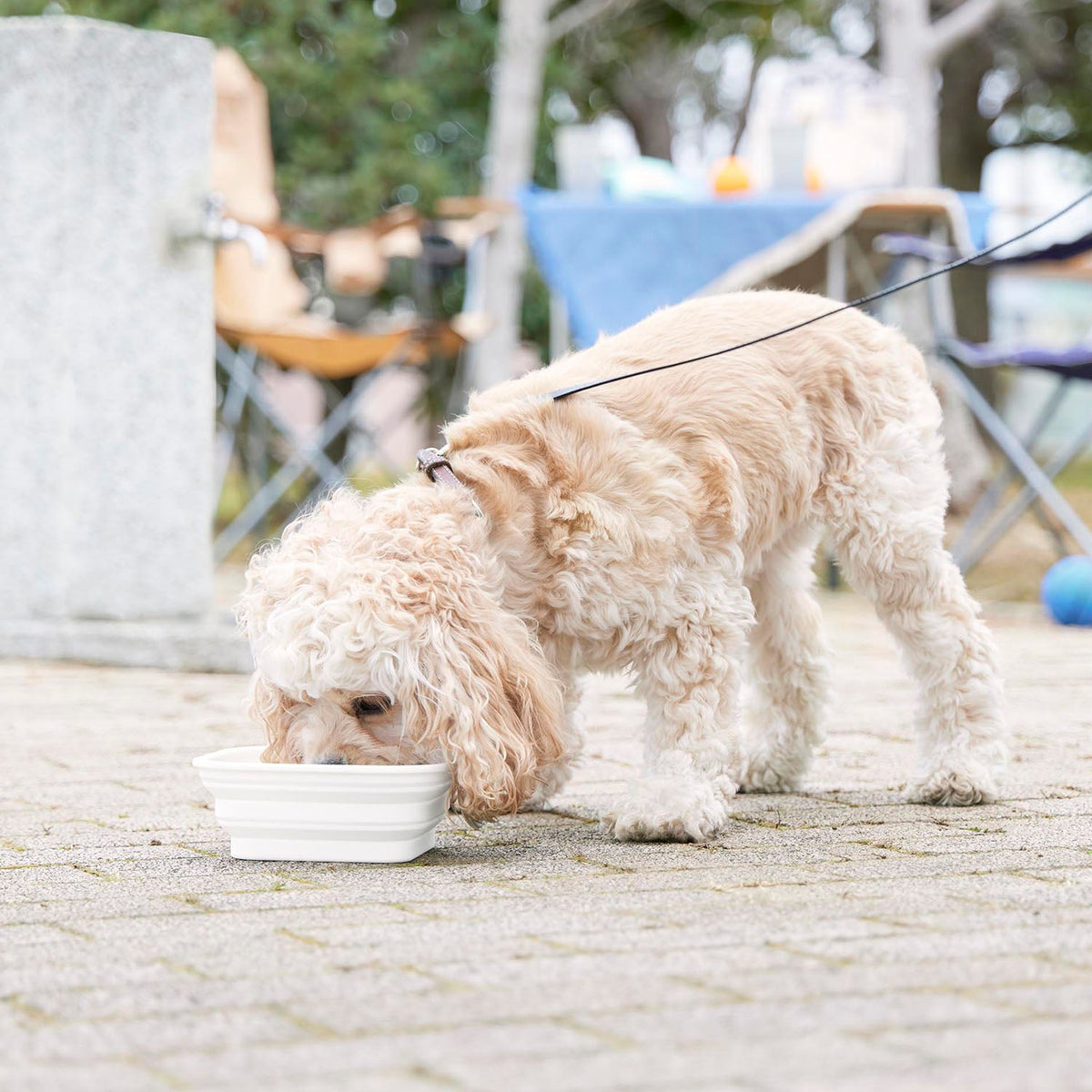 Yamazaki Nooks Folding Pet Food Bowl with Lid L Nooks, Large Folding Silicone Pet Bowl With a Lid That Packs Flat for Walks and Does Not Slip, 700 mL or 1 L, Hook Ring Included, 17.3 x 18.3 x 2.3 cm and 190 g, White or Black