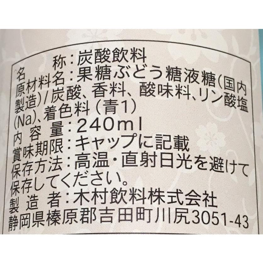 Kimura Beverage Fuji Cider, 240 ml Bottle