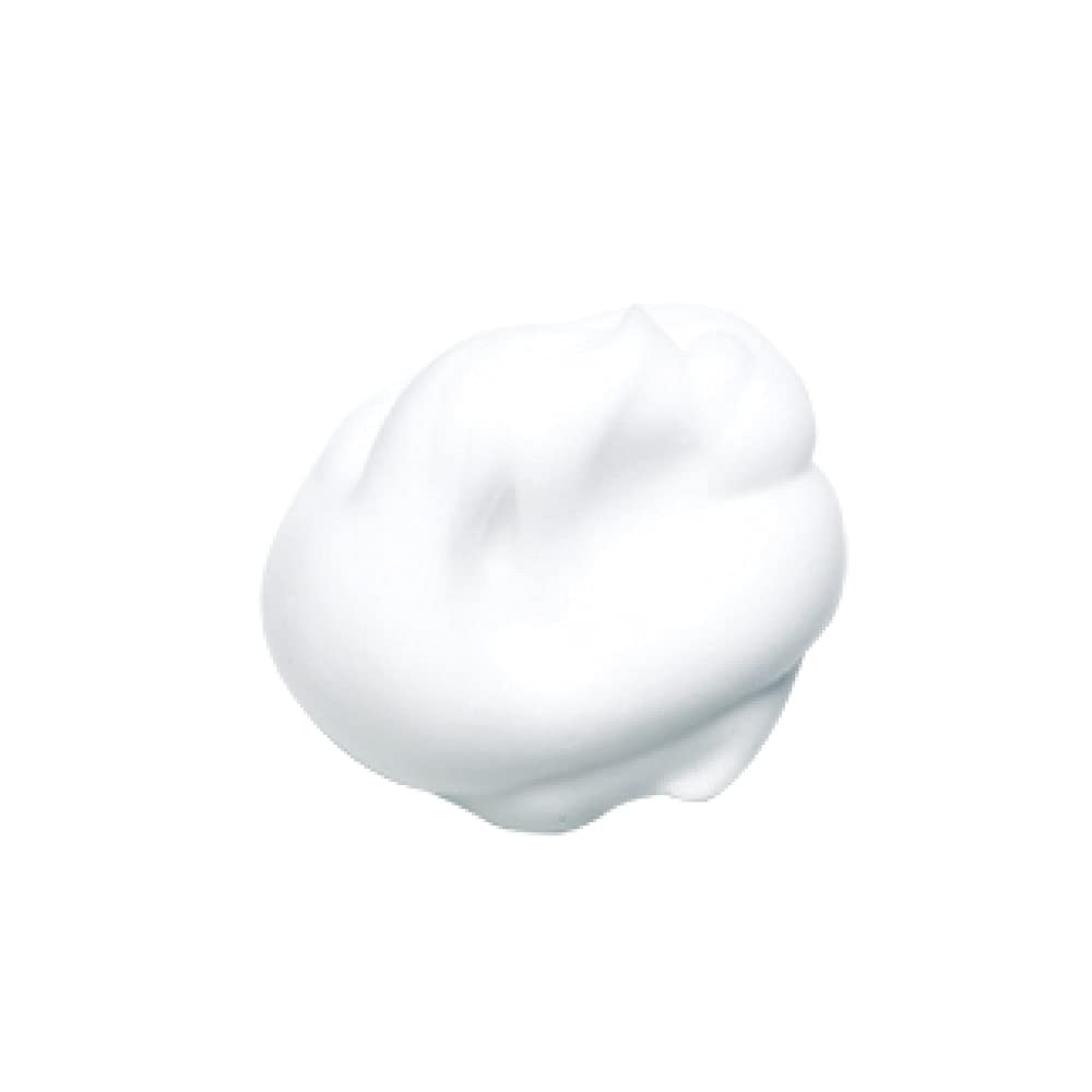 KANEBO Refreshing Creamy Wash a, Cream-Type Face Wash with Quick, Dense Foam, 130 g