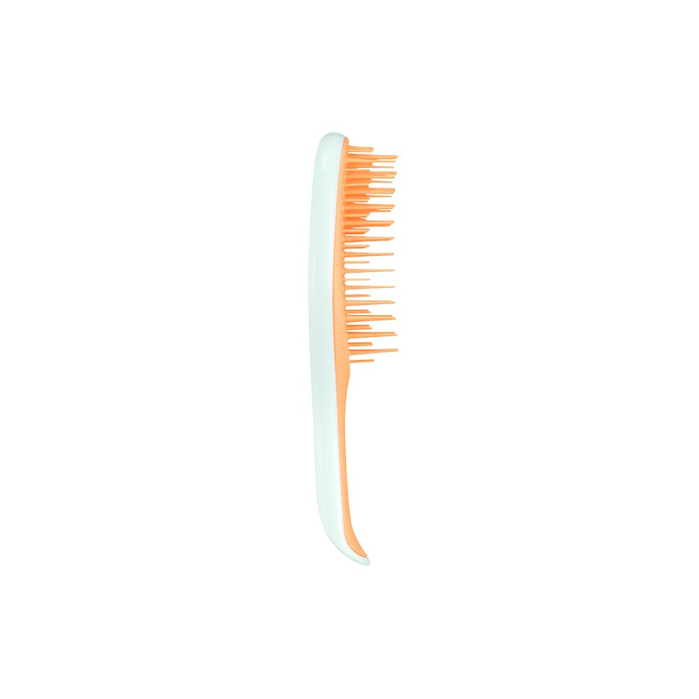 Tangle Teezer The Ultimate Detangler Mini, Compact Detangling Hairbrush for Wet and Dry Hair in 14 Colours, Nylon Bristles, 15.8 cm