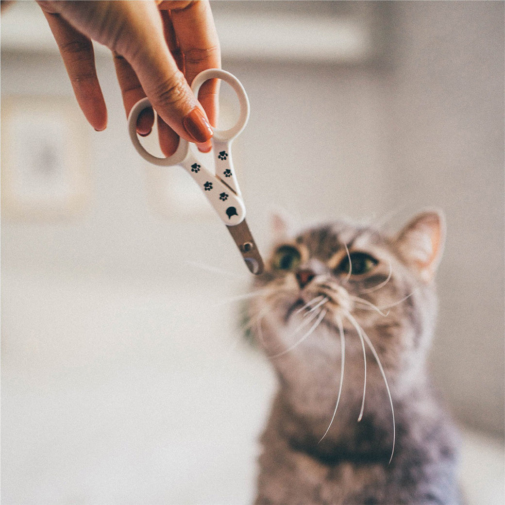 Necoichi Cat Nail Clipper — Thin Seki Blade, Quiet Cut