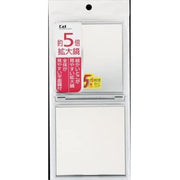 KAI Compact Folding Mirror with 5x Magnifying Side, Silver, Glass Hand Mirror with Flat Mirror on the Other Side, Pocket-Size (Model KX-0755)