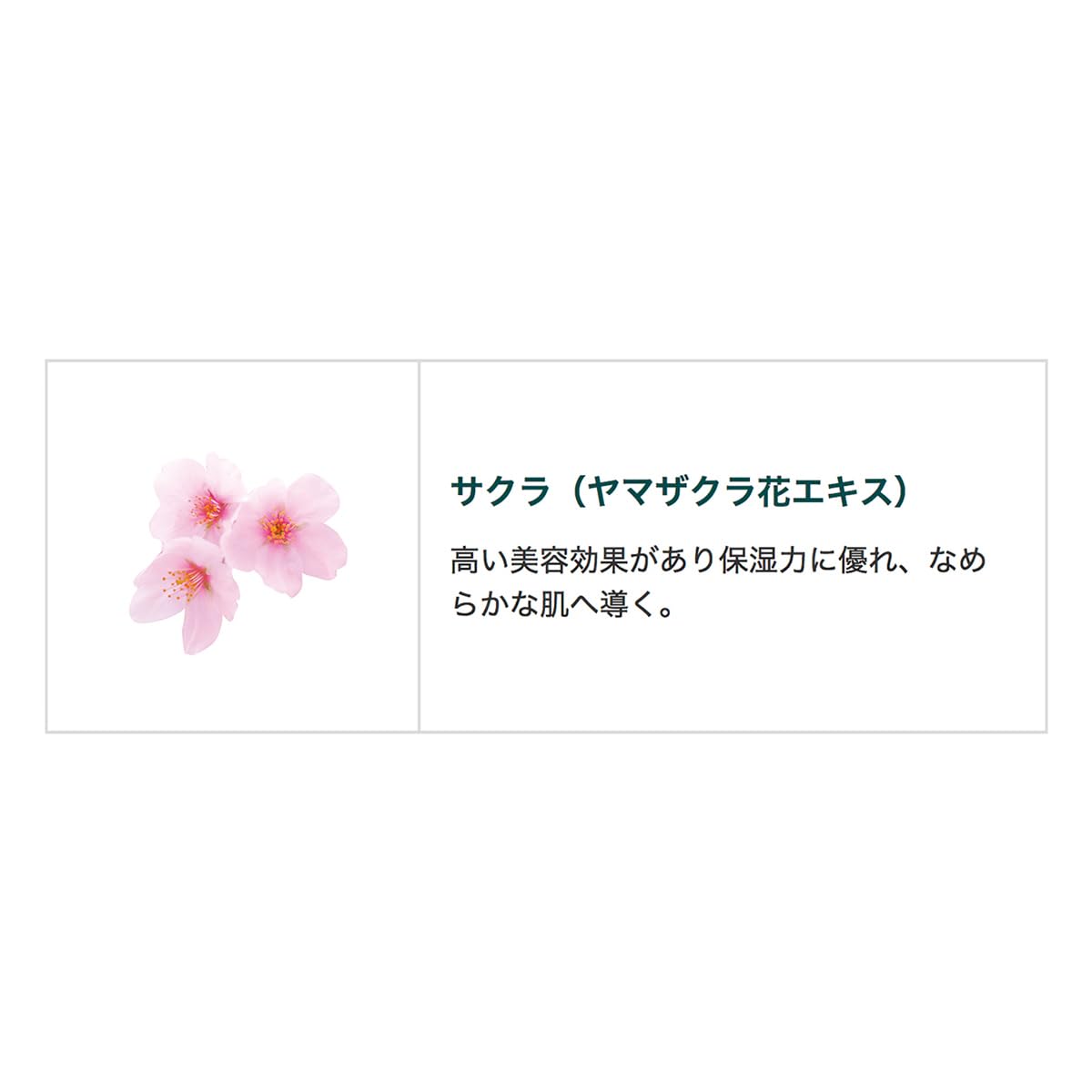 Hand Cream Sakura Scent, Light Non-Sticky Hand Cream with Wild Cherry Blossom Extract and Sweet Almond Oil, Without Parabens, Silicone and Mineral Oil, 75 mL Tube