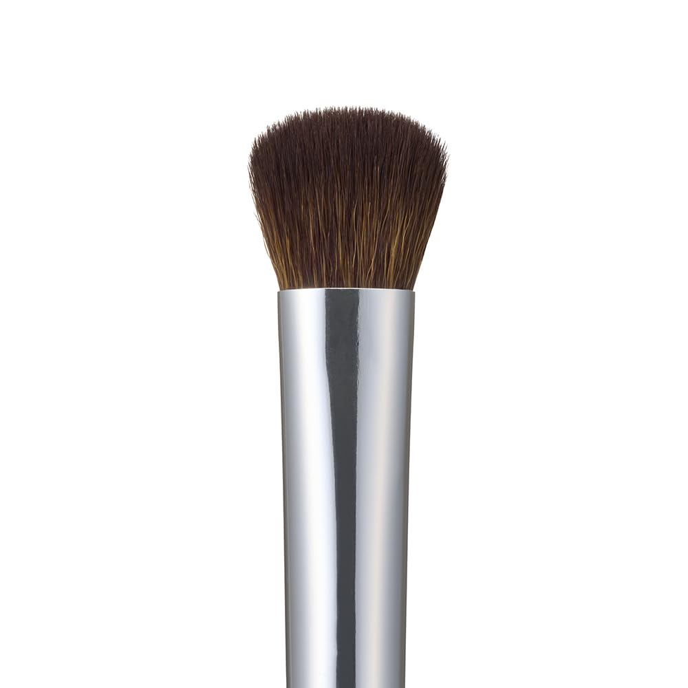 Rosy Rosa Portable Make-Up Brush Set of 5, Mini Face, Shadow, Point, Eyebrow and Liner, and Screw Brushes with Dedicated Case