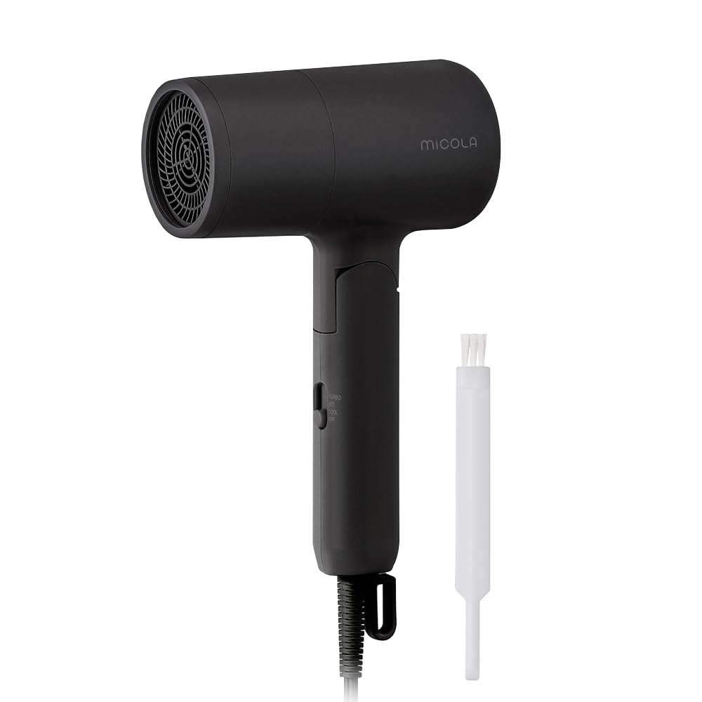 Iris Ohyama Ion Hair Dryer IDR-AZ103-B, Lightweight 380 g Folding Dryer with 1200 W, 2.0 m3 per Minute Airflow and Negative Ions, Black