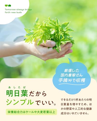 Boco-to-Deco ashitaba green juice product alternate view with packaging details