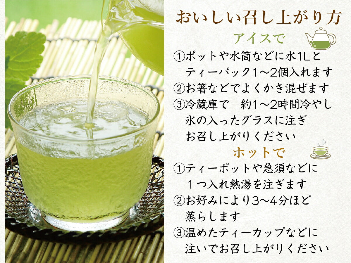 Kanematsu Seicha Yuzu Green Tea Bags, 10 Tea Bags
