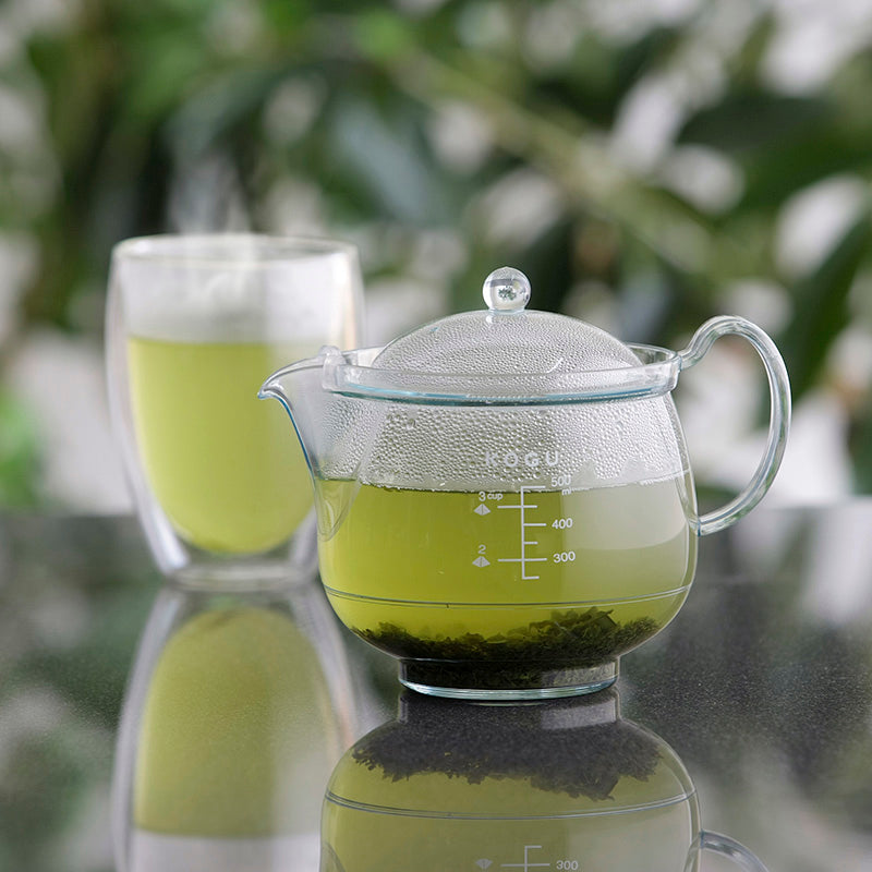 GraSUS Shatter-Resistant Teapot 500 mL, Clear Teapot That Looks Like Glass but Is Light and Hard to Break With a Locking Lid and Clip-On Leaf Mesh, 500 mL, Microwave and Dishwasher Safe, Made in Japan, 17 x 12 x 13.5 cm and 220 g, Clear