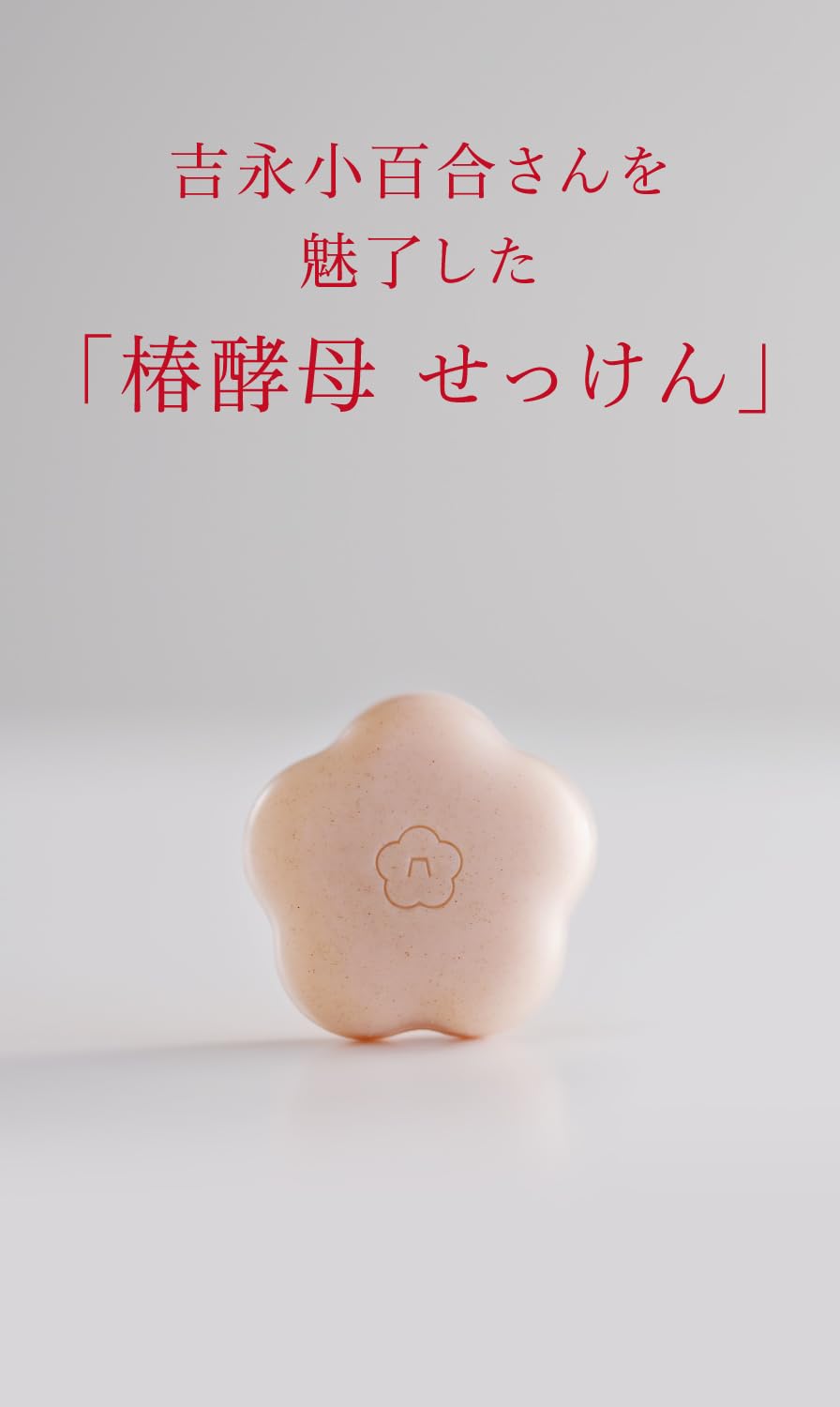 Goto no Tsubaki Camellia Yeast Facial Cleansing Bar 60g — source image 2