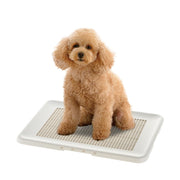 Richell Easy-Clean Flat Tray Regular Ivory, Ultra-Thin Dog Toilet Tray 47.9 x 35 x 1.9 cm with Removable Mesh, Made in Japan
