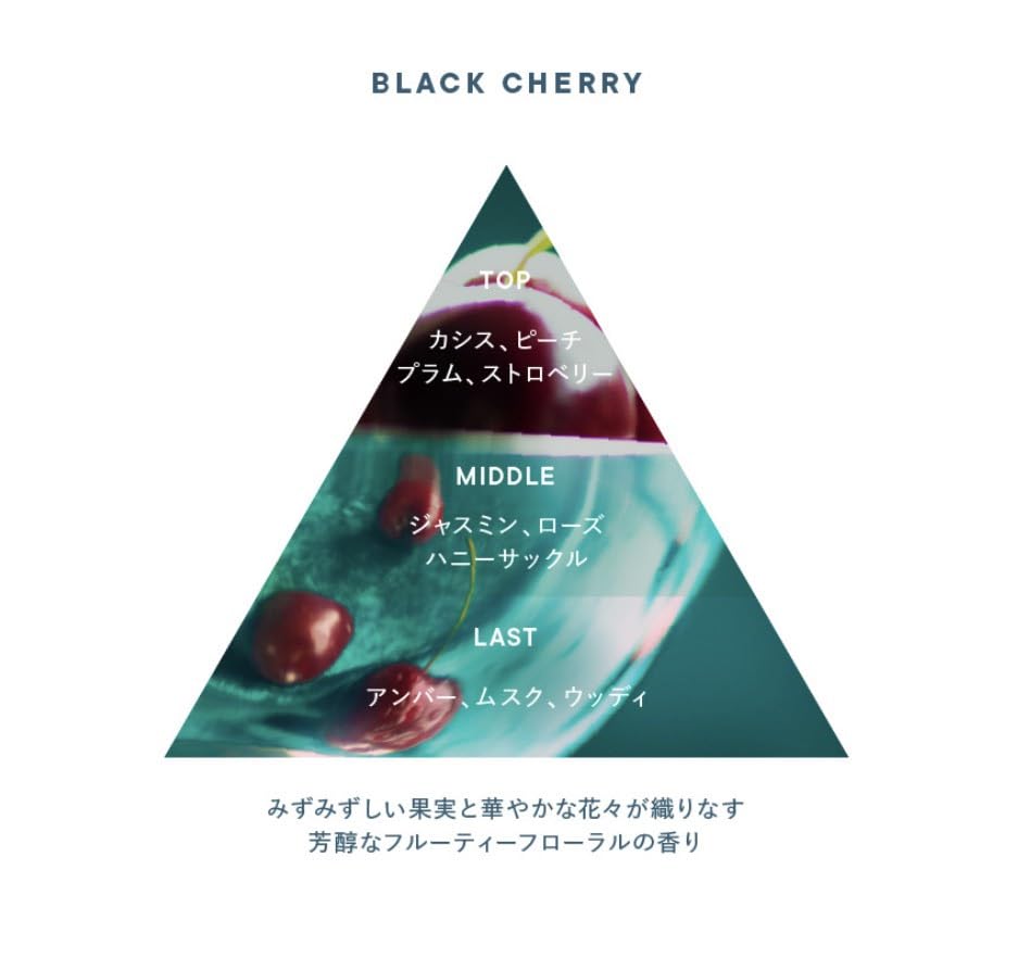 SHIRO Black Cherry Hair Balm, Fruity Floral Balm for Hair Styling, Hair Treatment and Body Care, 40 g Jar