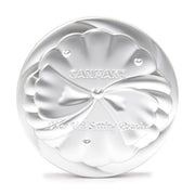 Canmake Clear Veil Setting Powder 01 Mistic Clear, 6.2 g Pressed Face Powder with Puff and Mirror, Freeze-Dried Fine Powder for a Sheer Soft-Focus Finish and Oil Control