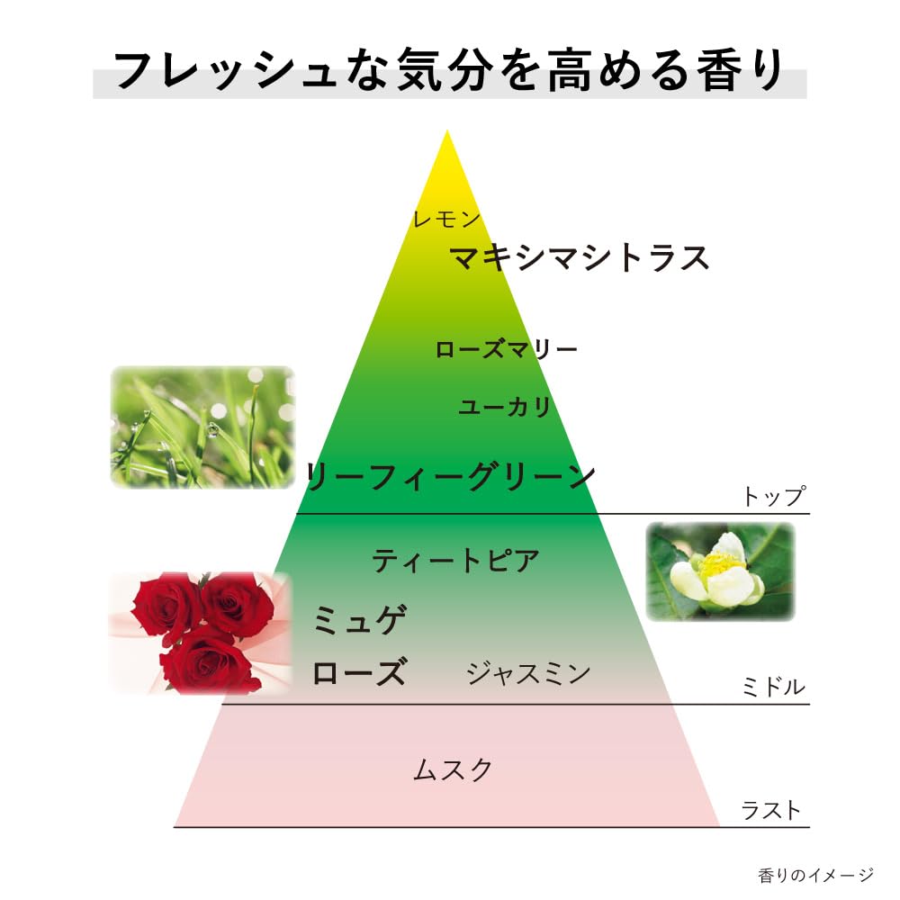 KANEBO Cream in Day II SPF30 PA+++ Medicated Morning Cream, 40 g