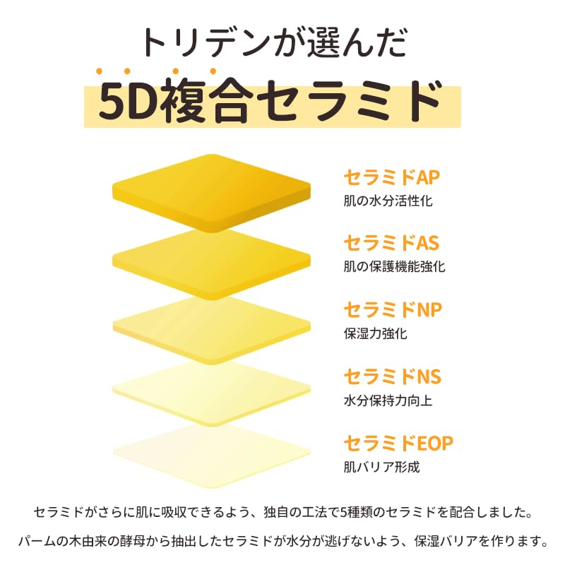 Torriden Solid In Ceramide Lip Essence, Intensive Moisturising Lip Treatment with 5 Ceramides, 11 mL