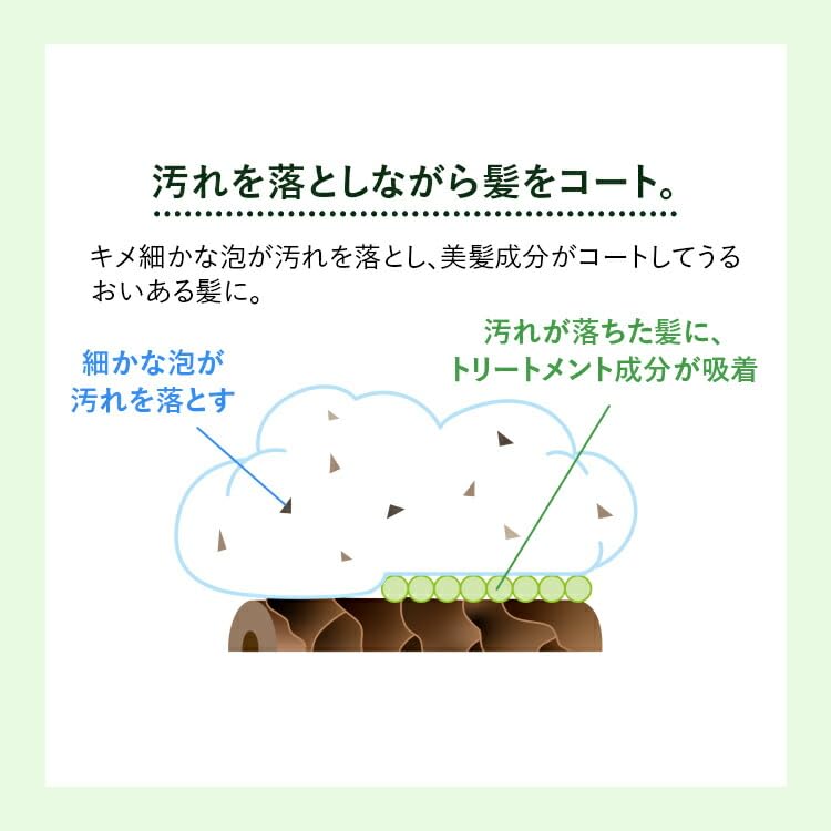 FANCL Tsuyagoromo Mineral-Repair Shampoo — Gagome-Kelp Moisture
