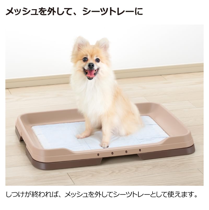 Richell Easy-Clean Step Tray Regular Ivory 47.9 x 35.2 x 4.9 cm, Dog Toilet Tray with Raised Rim and Removable Mesh, Made in Japan