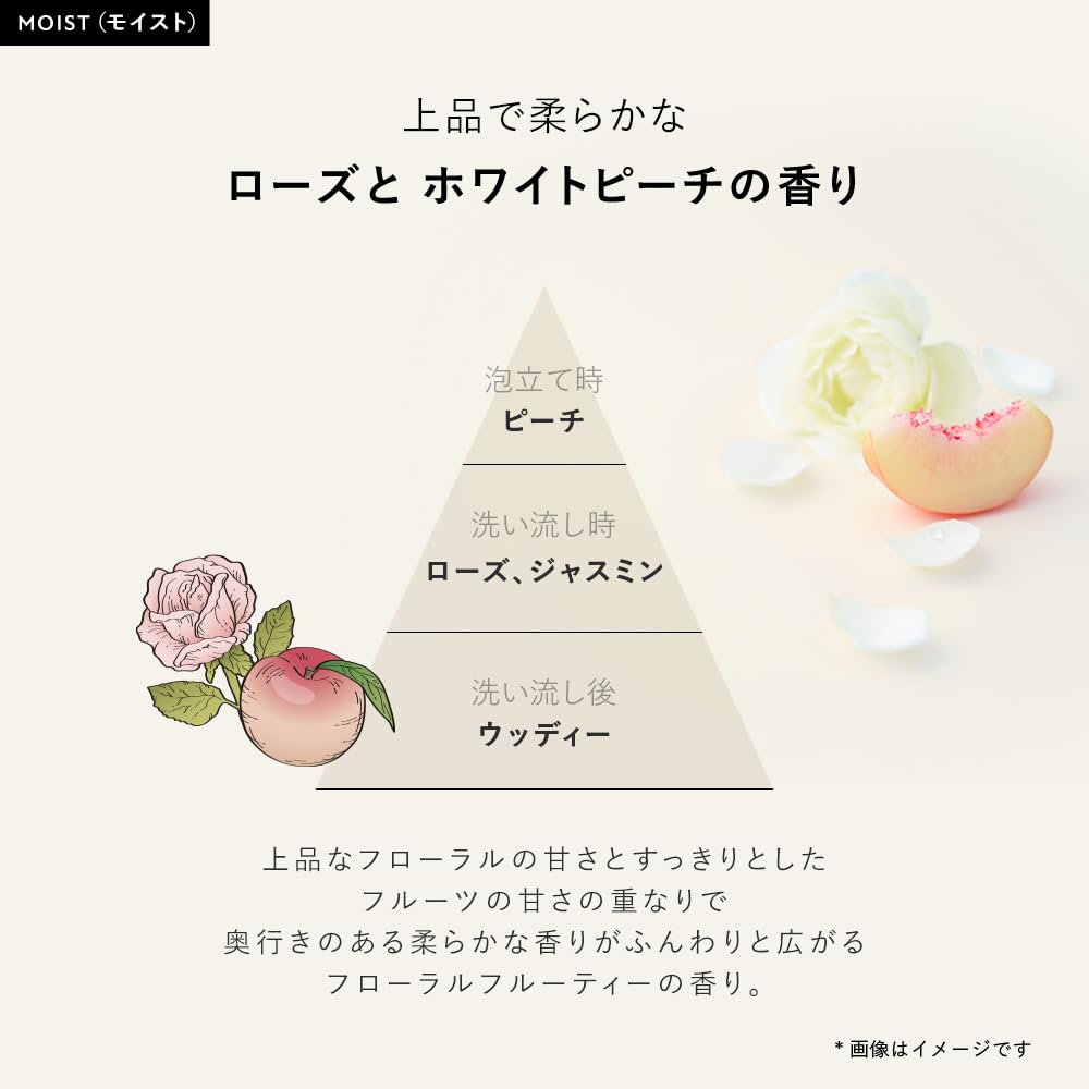 BOTANIST Botanical Body Soap Moist, Rose and White Peach Scent, Moisturising Body Wash with Aloe Vera Extract, 490 mL Pump