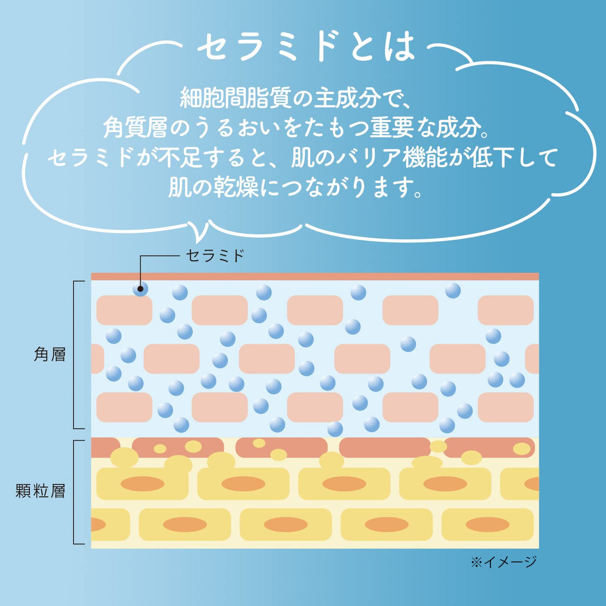 Softymo Ceramide Foaming Face Wash Refill Pouch, Fragrance-Free Whip Foam Cleanser with Ceramide-Like Polymer and Amino Acid, 130 mL (Pump Bottle Not Included)