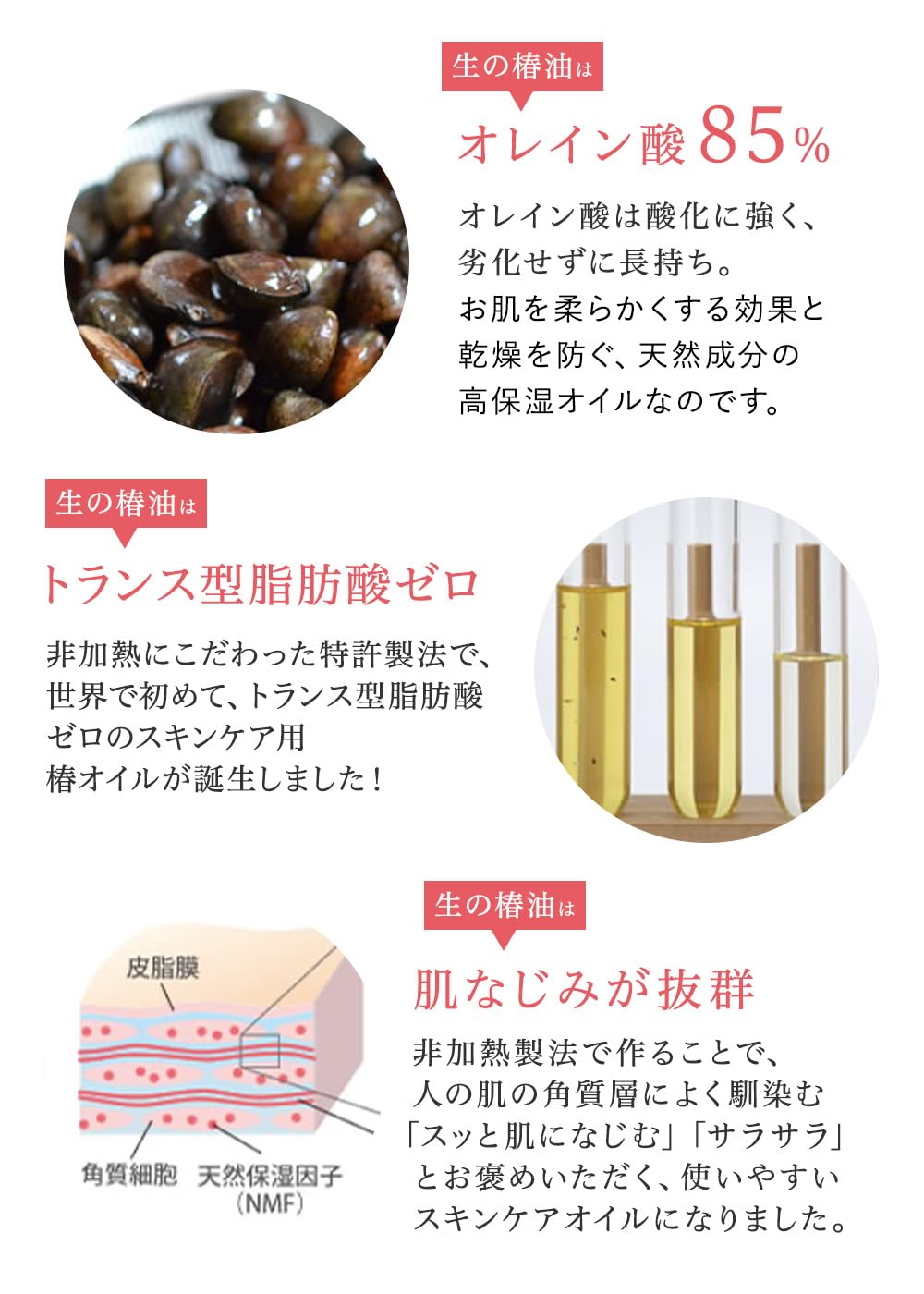 Japoneira Raw Camellia Oil Nail Care Pen, 2.5 mL Click-Type Cuticle Oil with Japanese Camellia Seed Oil and a Soft Rose Scent