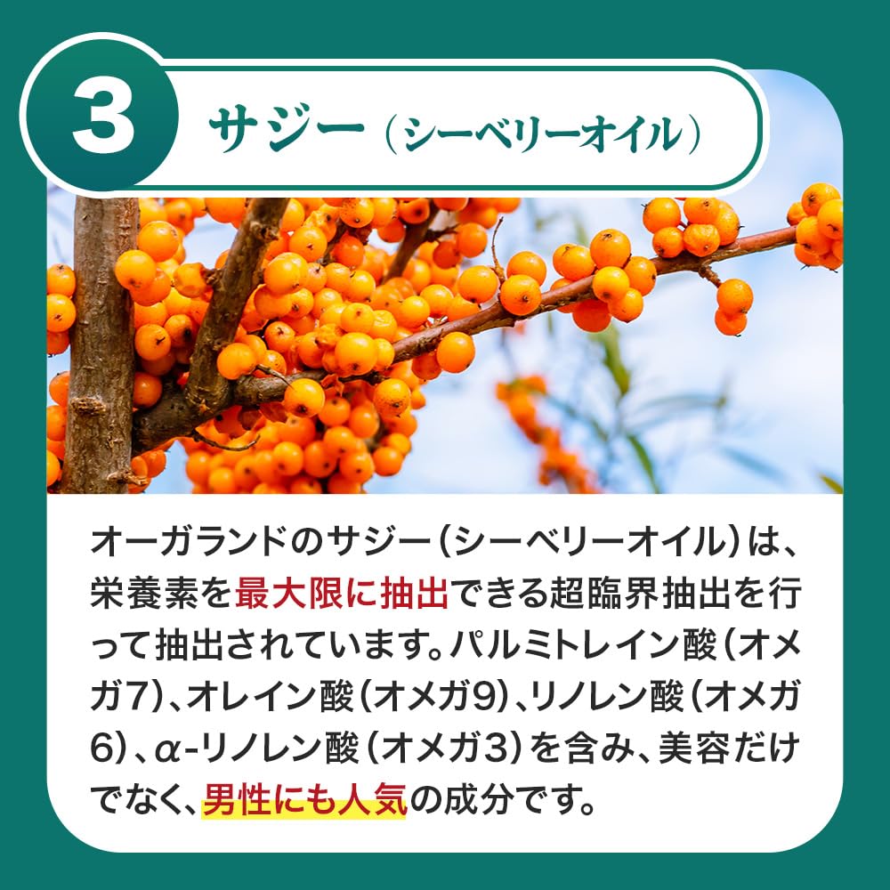 Saw Palmetto Soft Capsules with Pumpkin Seed Oil, Seaberry Oil and Chomeiso, 90 Capsules for About 3 Months