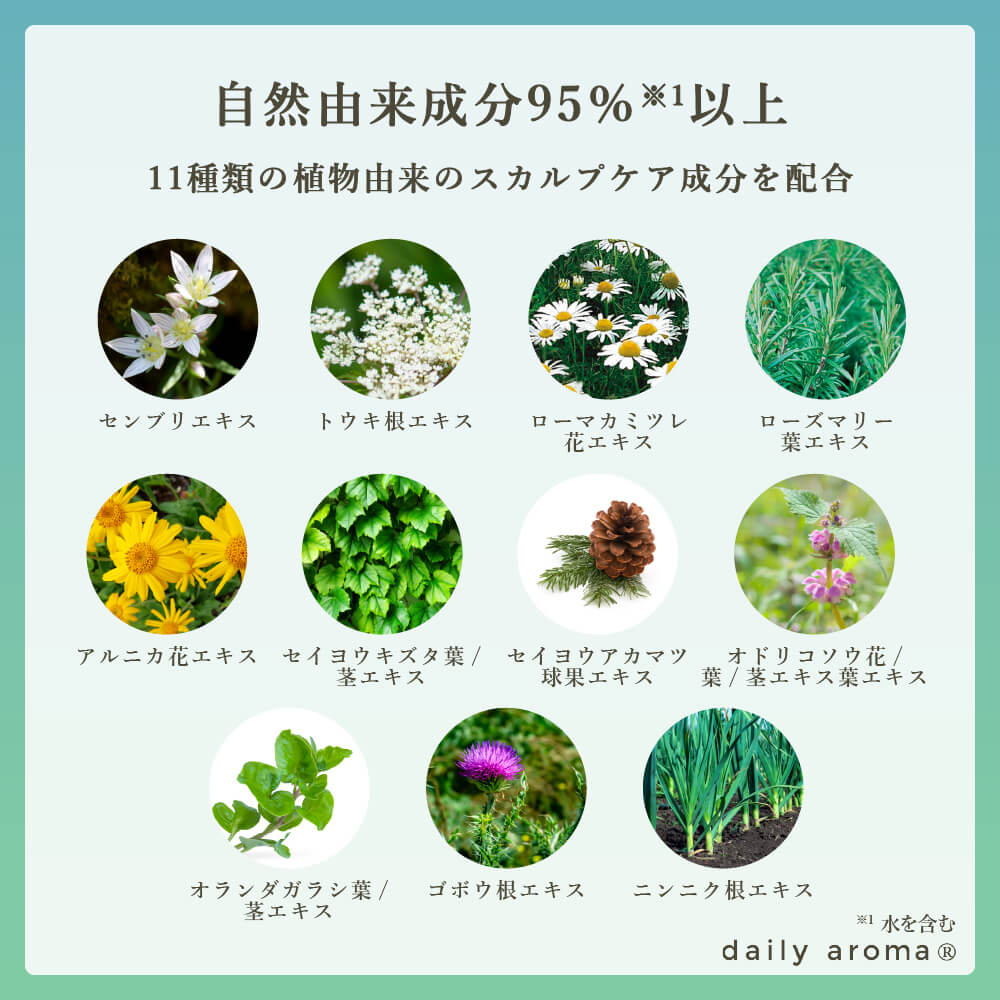Hokkaido Japanese Mint Oil All-In-One Shampoo, Amino-Acid Silicone-Free Weakly Acidic Cooling Formula with Airless Pump Bottle, 365 mL, Made in Japan