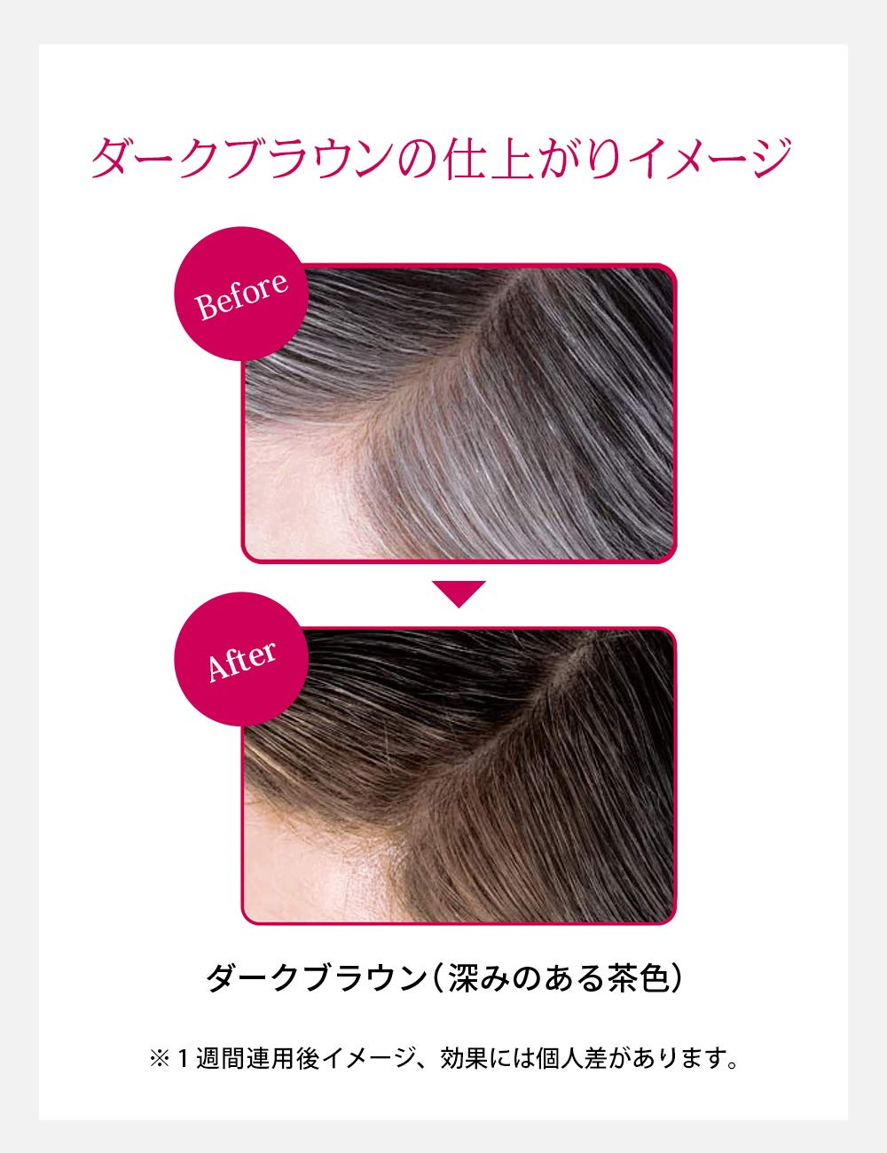 PRIOR Color Conditioner N — Gradual Gray Hair Color Care