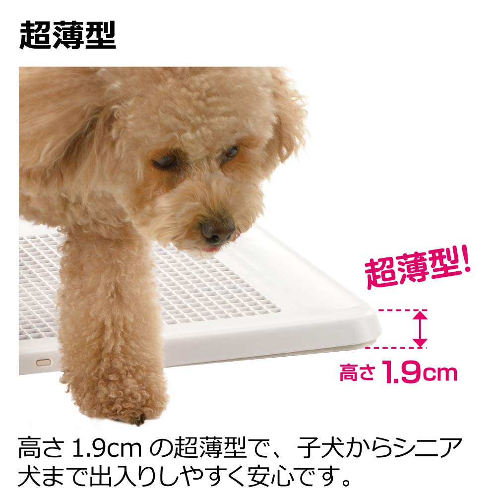 Richell Easy-Clean Flat Tray Regular Ivory, Ultra-Thin Dog Toilet Tray 47.9 x 35 x 1.9 cm with Removable Mesh, Made in Japan