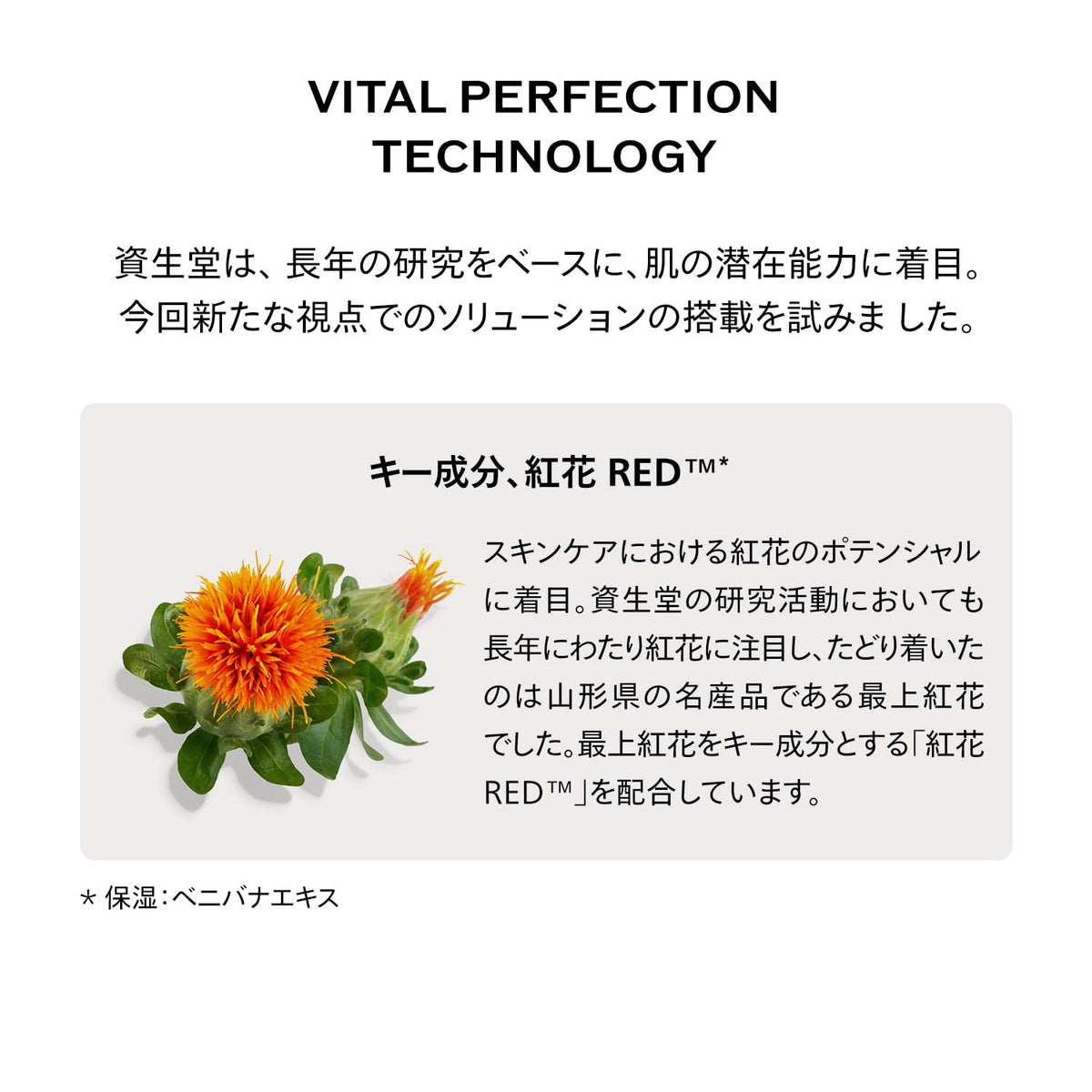 SHISEIDO Vital Perfection Kit — ReNeuraRED Technology™ Firming