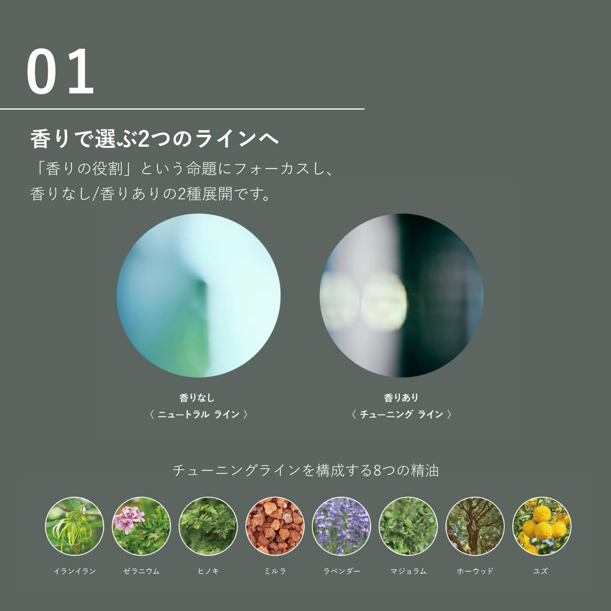 OSAJI Smoothing Shampoo — Eight-Essential-Oil Woody Aromatic Scent