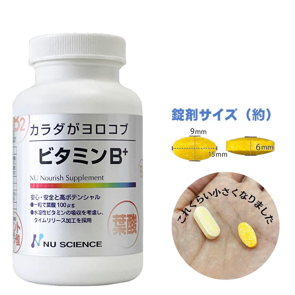 Vitamin B Complex Time-Release Tablets with Folic Acid 400 mcg, Inositol and Choline, 240 Small Tablets, 100 mg of B1, B2, B6, Niacinamide and Pantothenic Acid per 4 Tablets