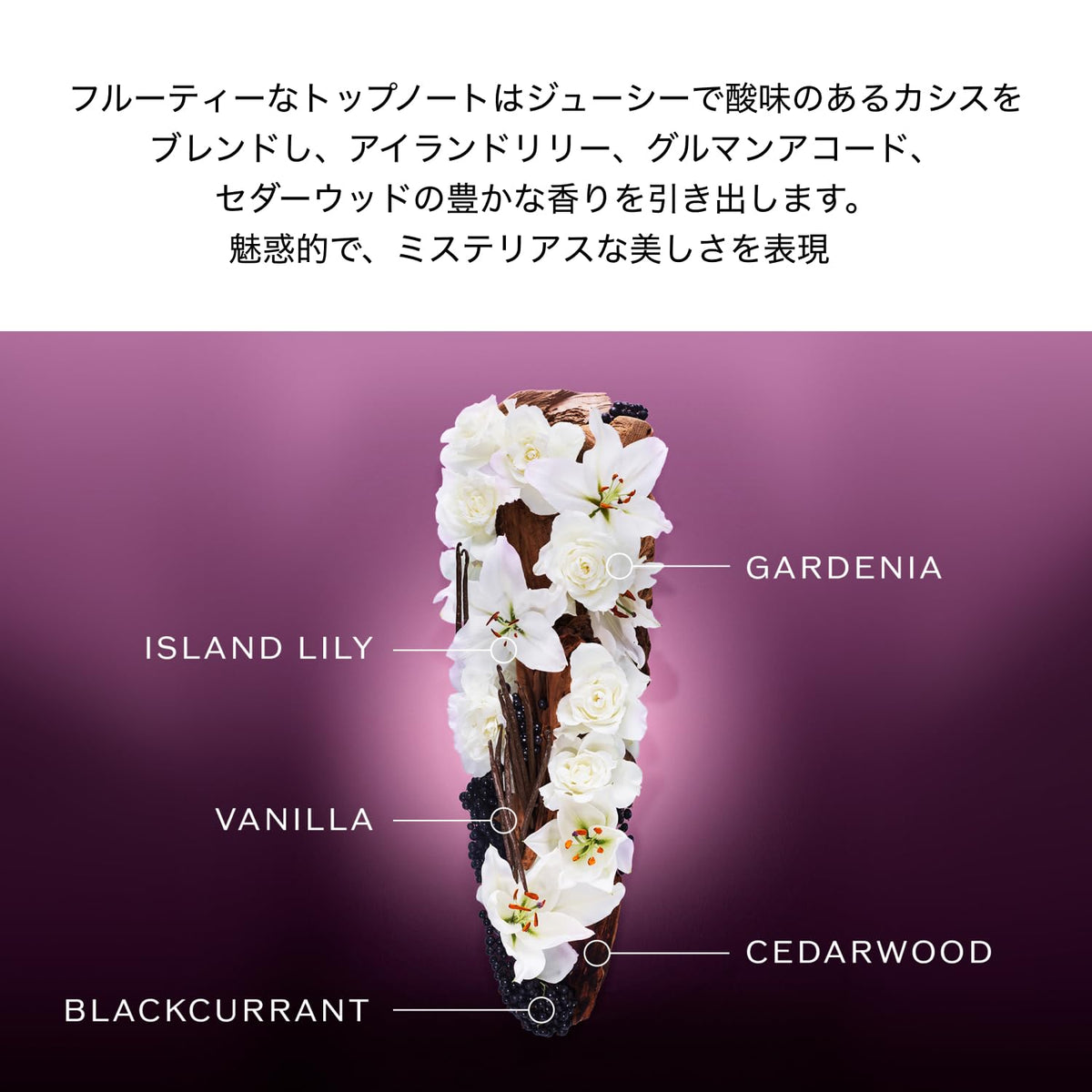 SHISEIDO Ginza Night Eau de Parfum 30 mL
