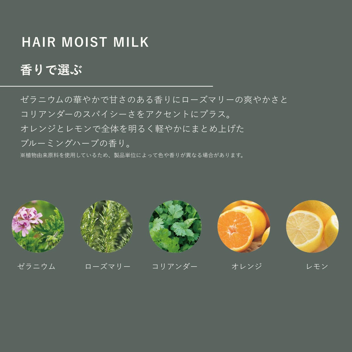 OSAJI Hair Moist Milk 95 g, Leave-In Hair Milk with Heat-Care Ingredients and Camellia Seed Oil for Frizzy, Dry Hair, Geranium and Rosemary Scent