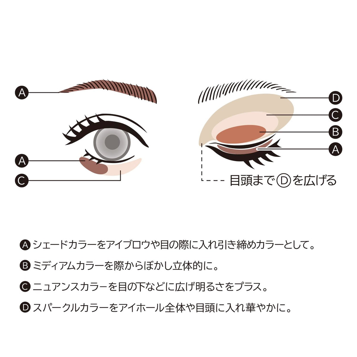 Face Color Palette 500 Sugar Spot, 4-Colour Brow, Eyeshadow, Highlight and Shading Palette with Chip, Sweet Brown