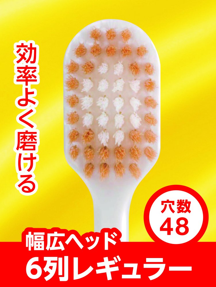 Ebisu Care Toothbrush, 6-Row Regular Wide Head, Pack of 3 in Assorted Colors, Extra Soft to Hard