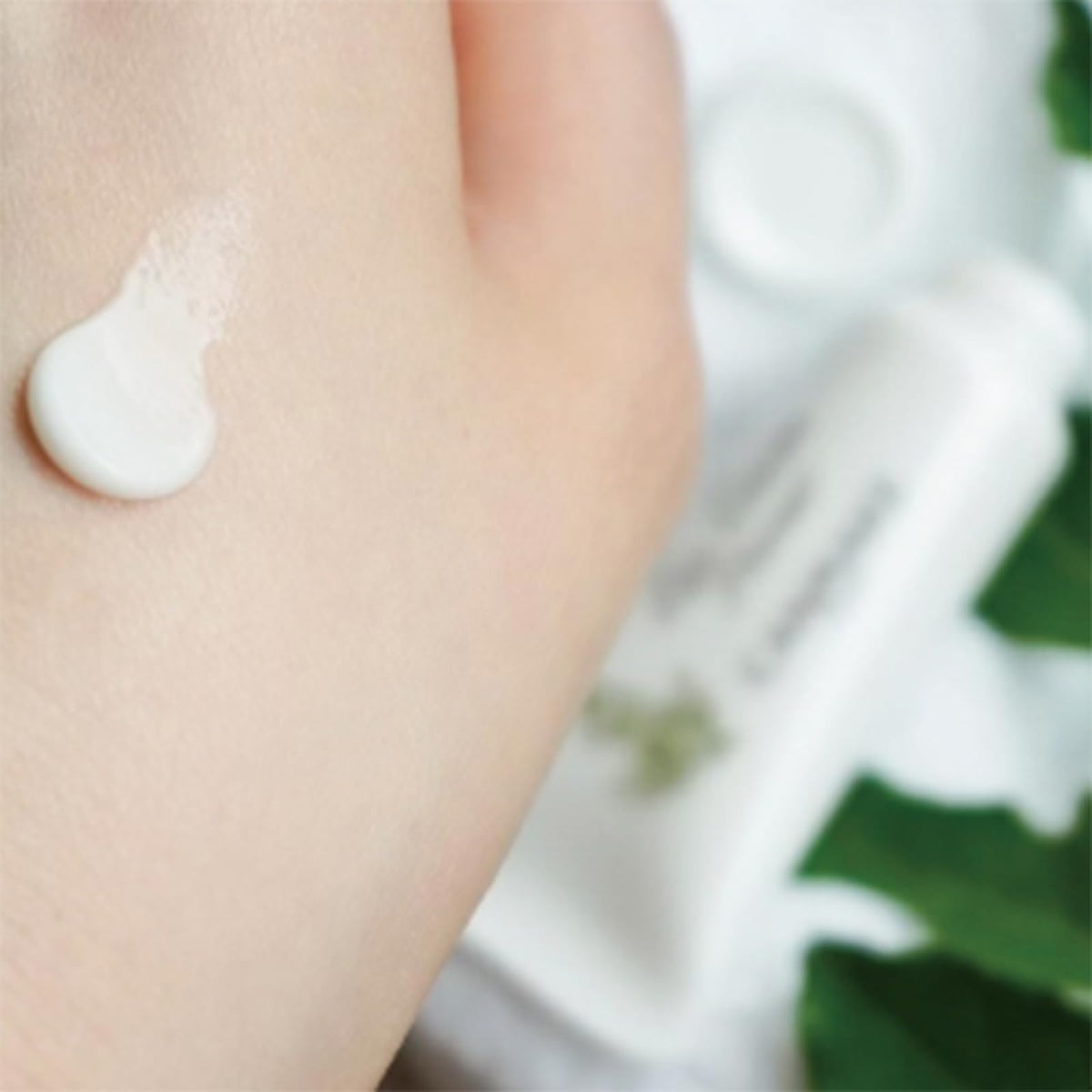 Canmake Eye Cream Primer, 01 Clear, Eye Cream and Eyeshadow Base in One That Boosts Colour and Wear, 10 g