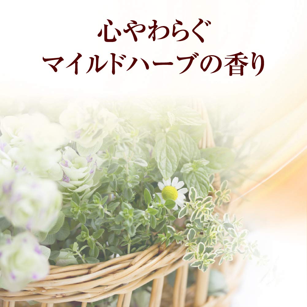 50 MEGUMI Hair & Scalp Nourishing Treatment Refill 2-Pack — Aging Care Mild Herb 330ml x2