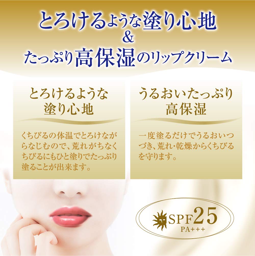 Melt-In Lip Cream Stick With Ceramides, Unscented, SPF25 PA+++, 2.4g