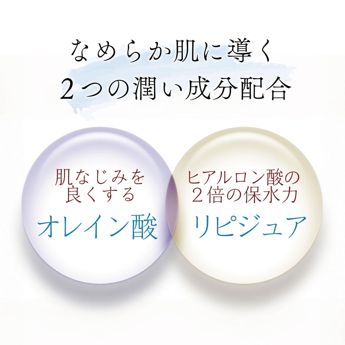 Sake Lees Face Lotion with Olive Oil and Polyquaternium-51, Moisturizing Toner for Dry Skin, 150 mL, Made in Japan
