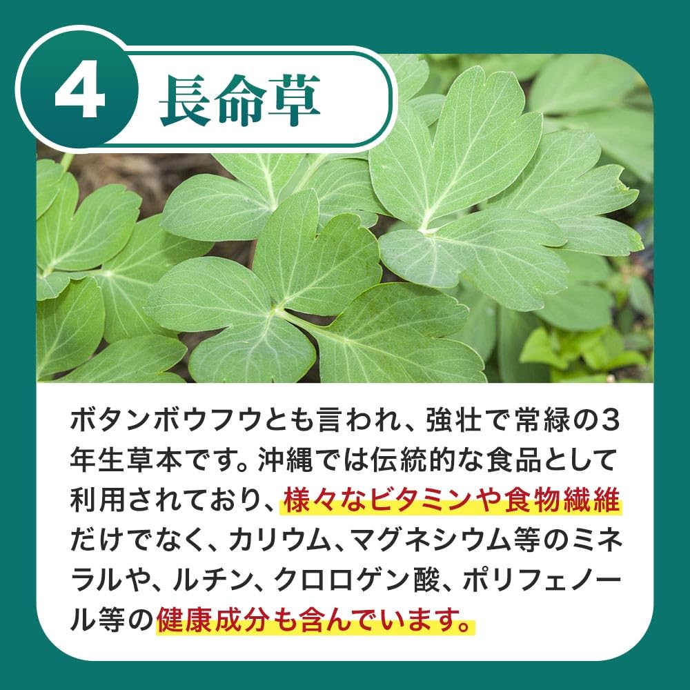 Saw Palmetto Soft Capsules with Pumpkin Seed Oil, Seaberry Oil and Chomeiso, 90 Capsules for About 3 Months