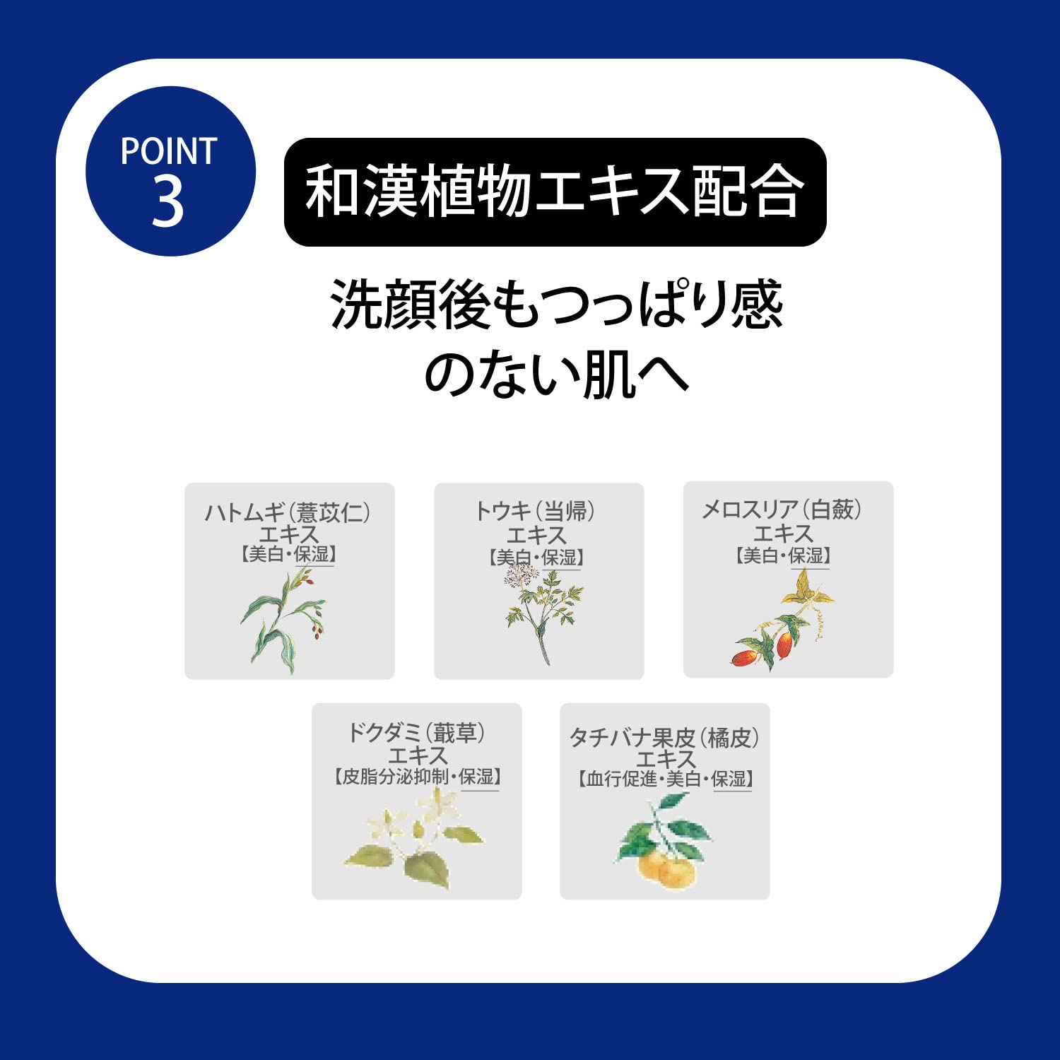 Sekkisei Essence Soap 120g — source image 5