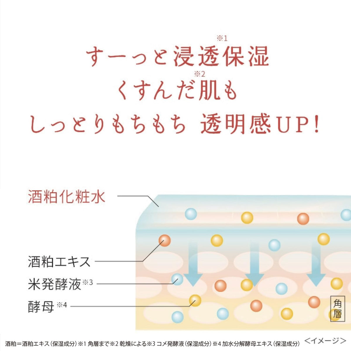 Wafood Made Sake Lees Lotion with Kumamoto Sake Lees Extract, Two-Layer Shake-Before-Use Moisturizing Face Lotion, 190 mL