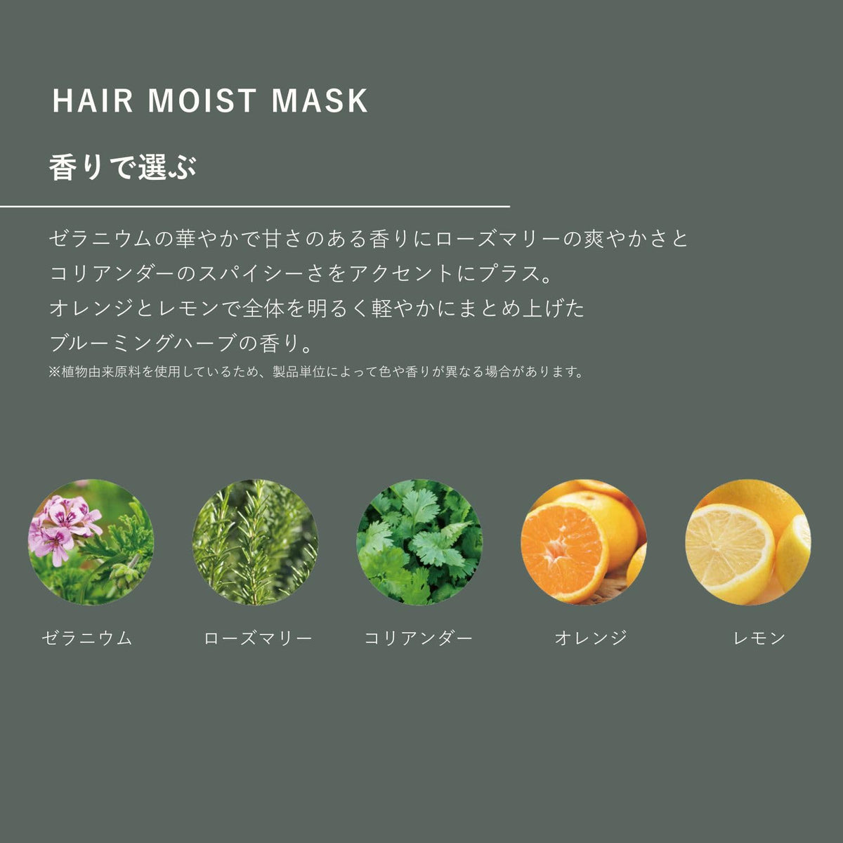 OSAJI Hair Moist Mask, Silicone-Free Repair Hair Mask for Dry, Frizzy and Damaged Hair, 150 g Tube