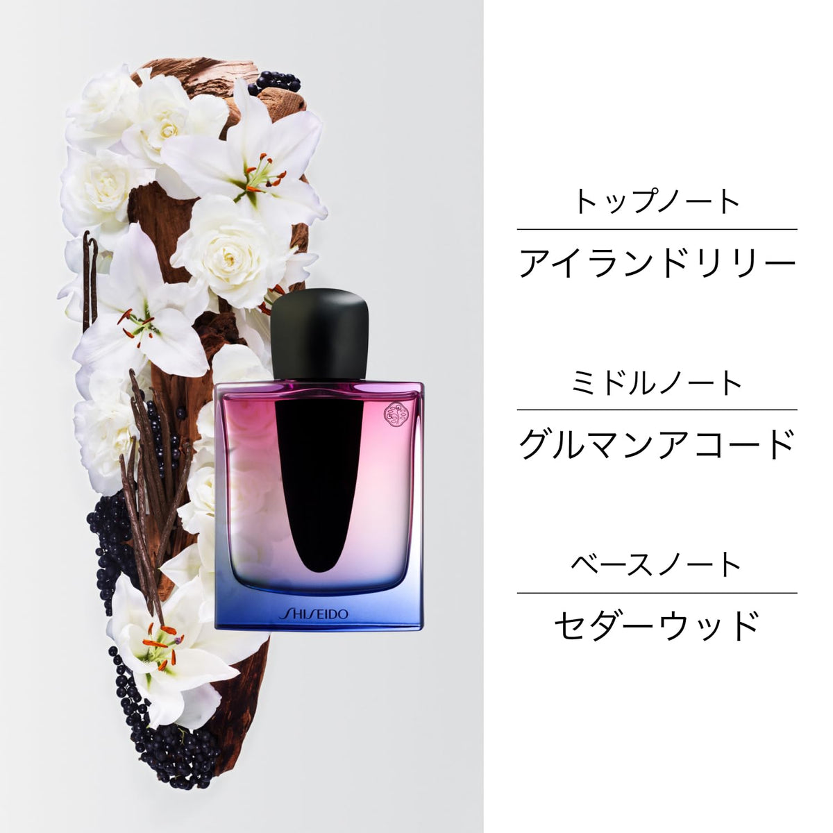 SHISEIDO Ginza Night Eau de Parfum 30 mL