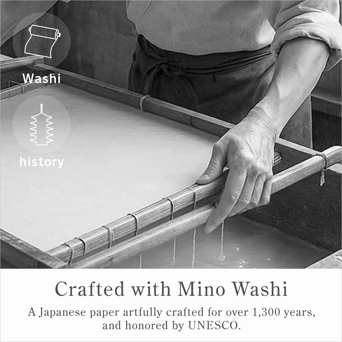 Japanese Oil Blotting Paper, 100 Sheets per Box, Mino Washi, Green Tea or Black Charcoal, Pack of 1 or 2, Made in Japan