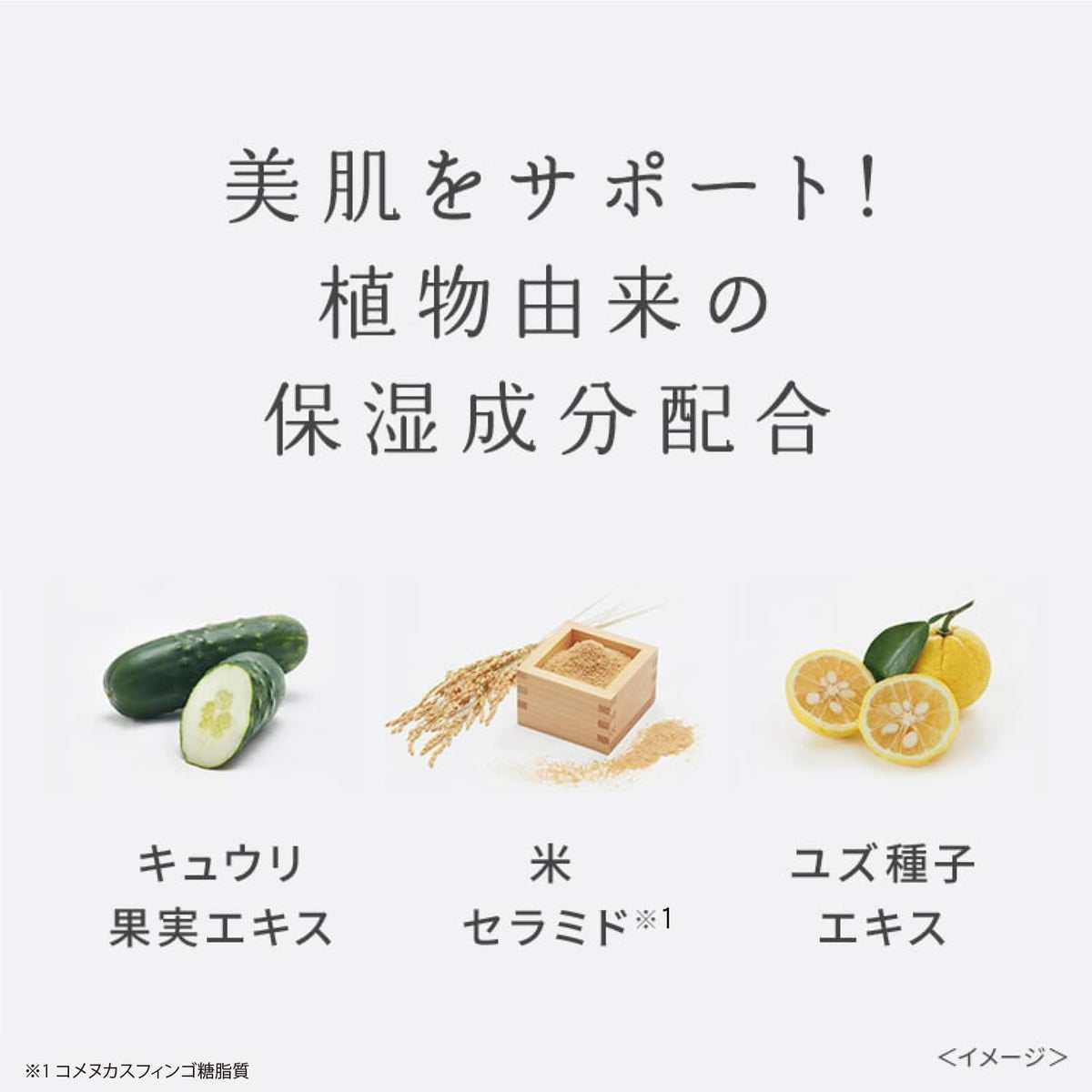 Wafood Made Sake Lees Lotion with Kumamoto Sake Lees Extract, Two-Layer Shake-Before-Use Moisturizing Face Lotion, 190 mL