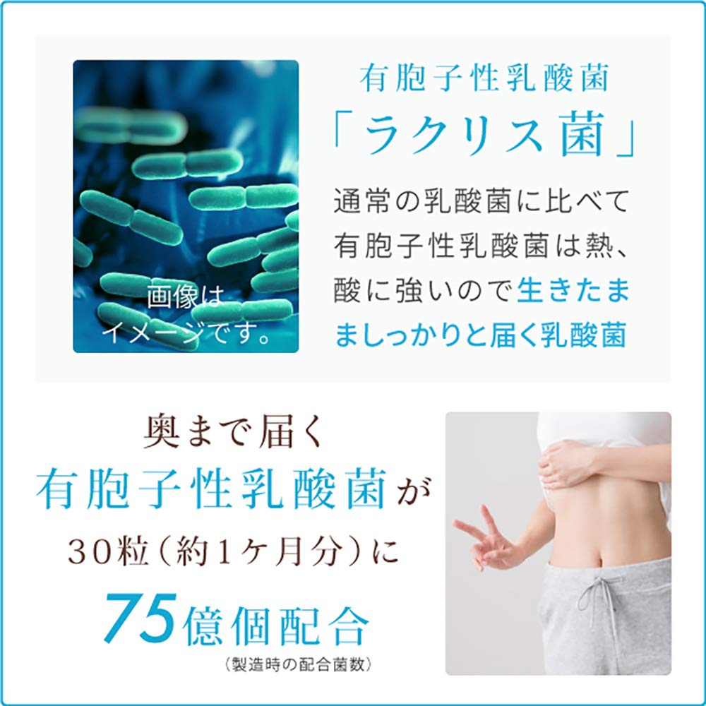 Spore-Forming Lactic Acid Bacteria Soft Capsules with Bifidobacterium, Lactic Acid Bacteria-Produced Substance and Plant Fermentation Extract, 90 Capsules