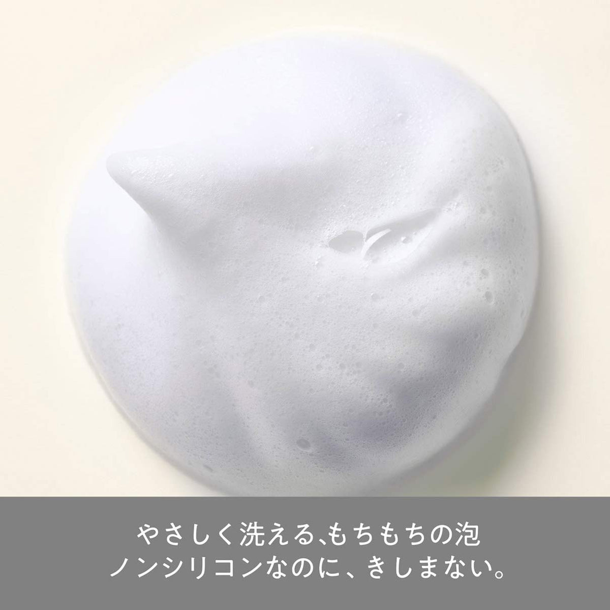 Hair Recipe Wanomi Tsurun Ginger and Lemon Non-Silicone Shampoo 350 mL