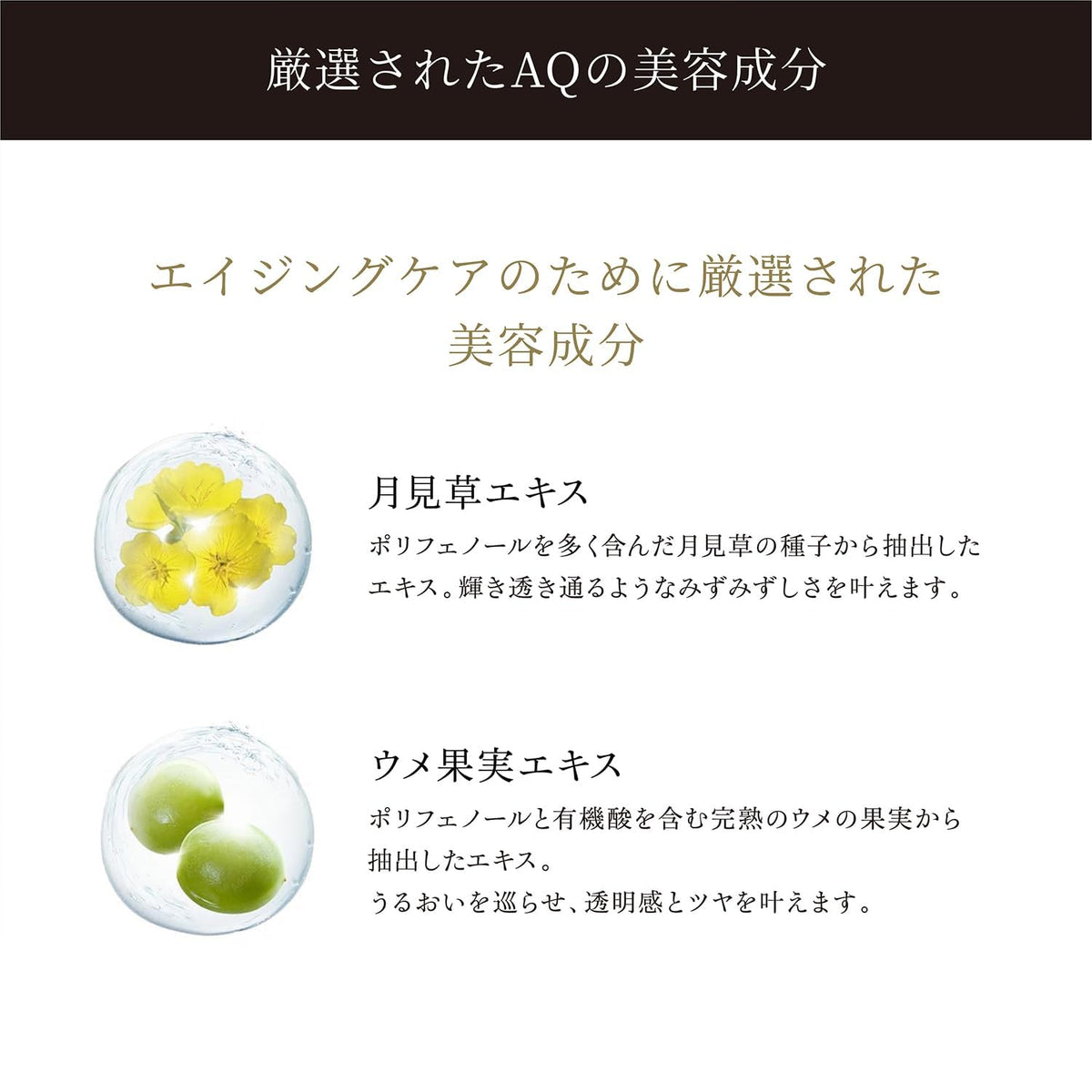 Decorté AQ Radiance Airy Cream Wash, Micro-Particle Foam Cream Face Wash for Pore Aging Care, 125 g Tube