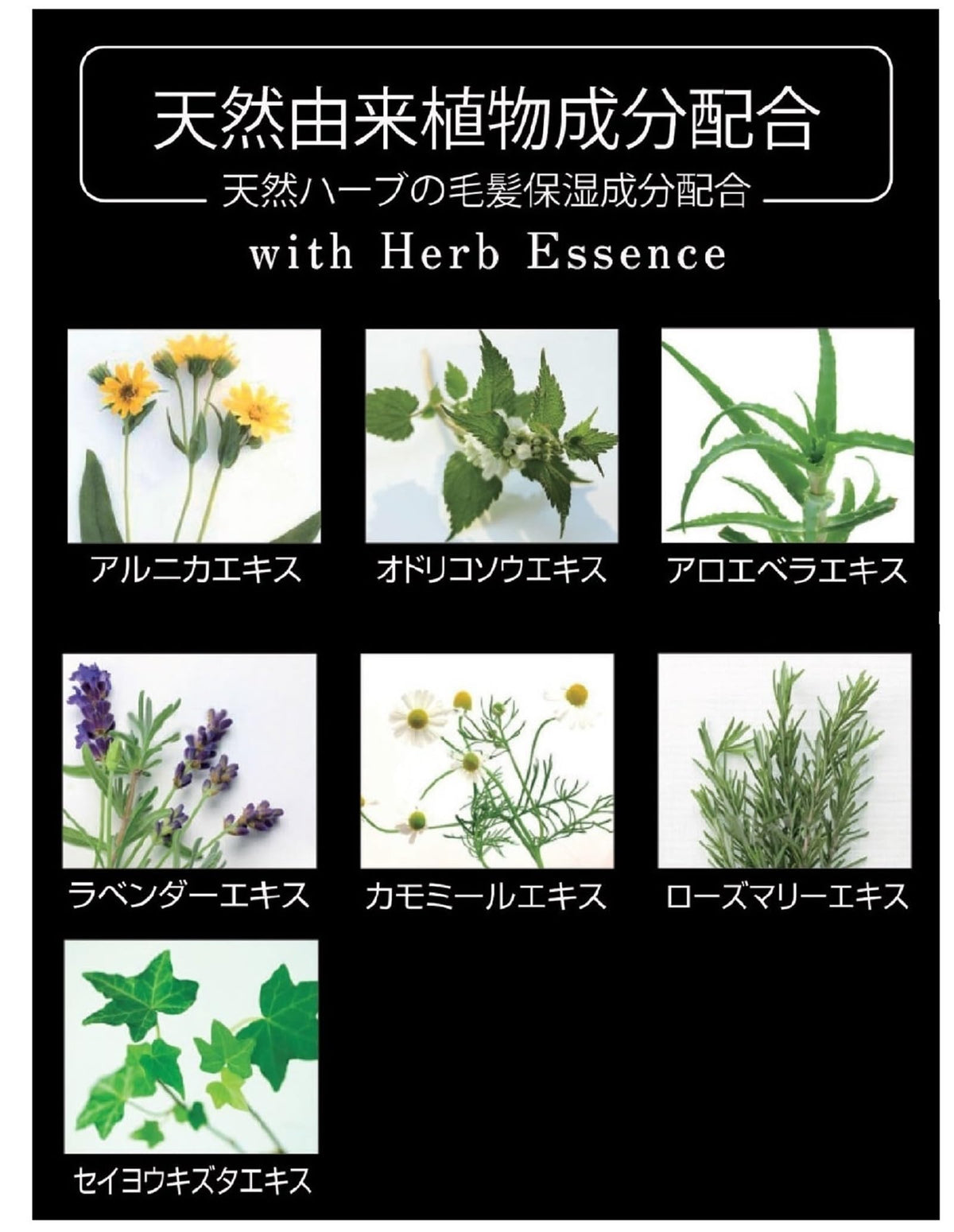 Natural Herb Essence Conditioner 980 ml Pump Bottle or 700 ml Refill Pouch, Lavender, Chamomile, Rosemary, Arnica and Aloe Extracts, Herbal Aroma, Made in Japan
