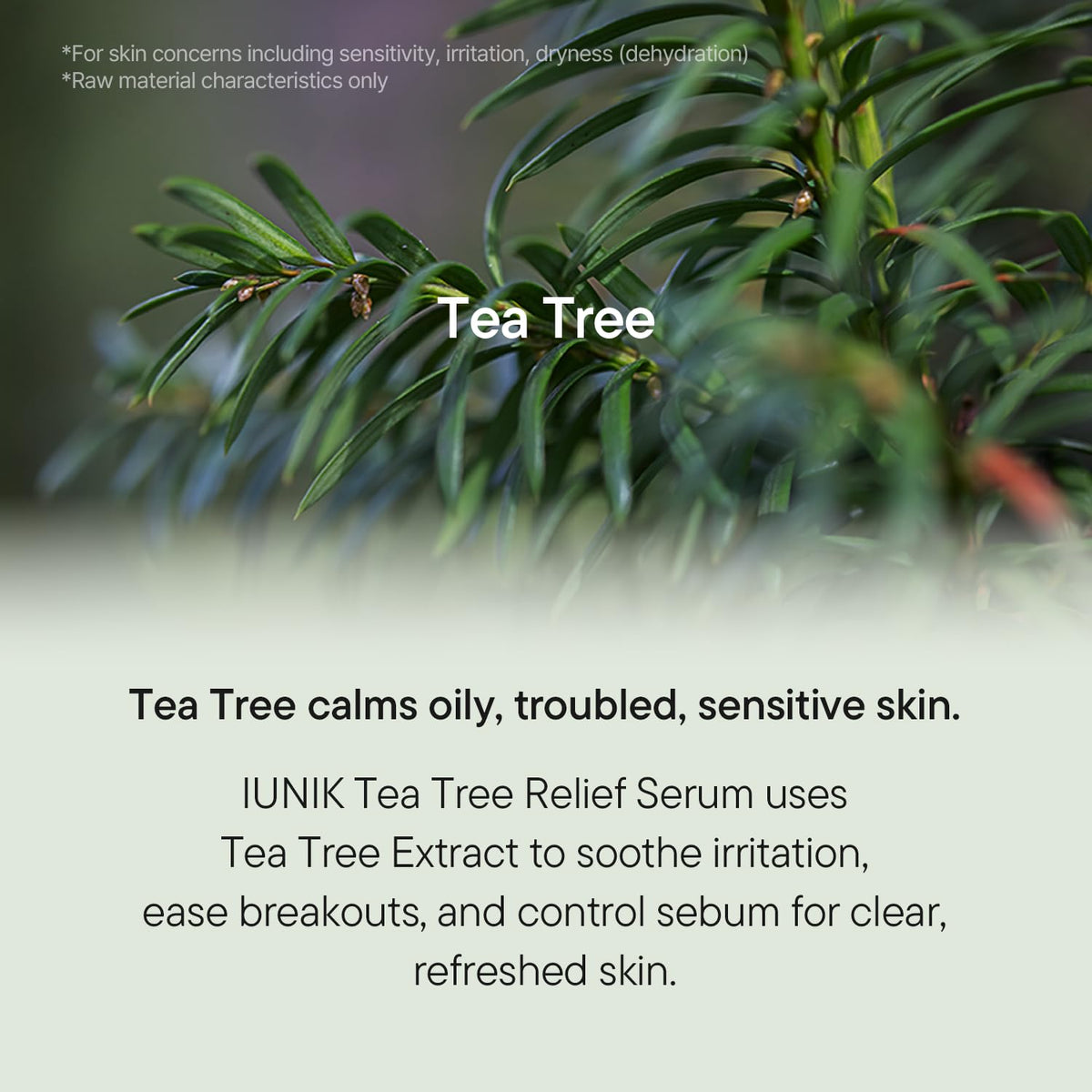 iUNIK Tea Tree Relief Serum, Tea Tree Leaf Water and Centella Calming Serum for Oily, Troubled and Sensitive Skin, 50 mL